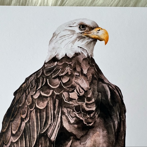 Watercolor Wall Art Print Eagle Portrait Unframed - Picture 11 of 13